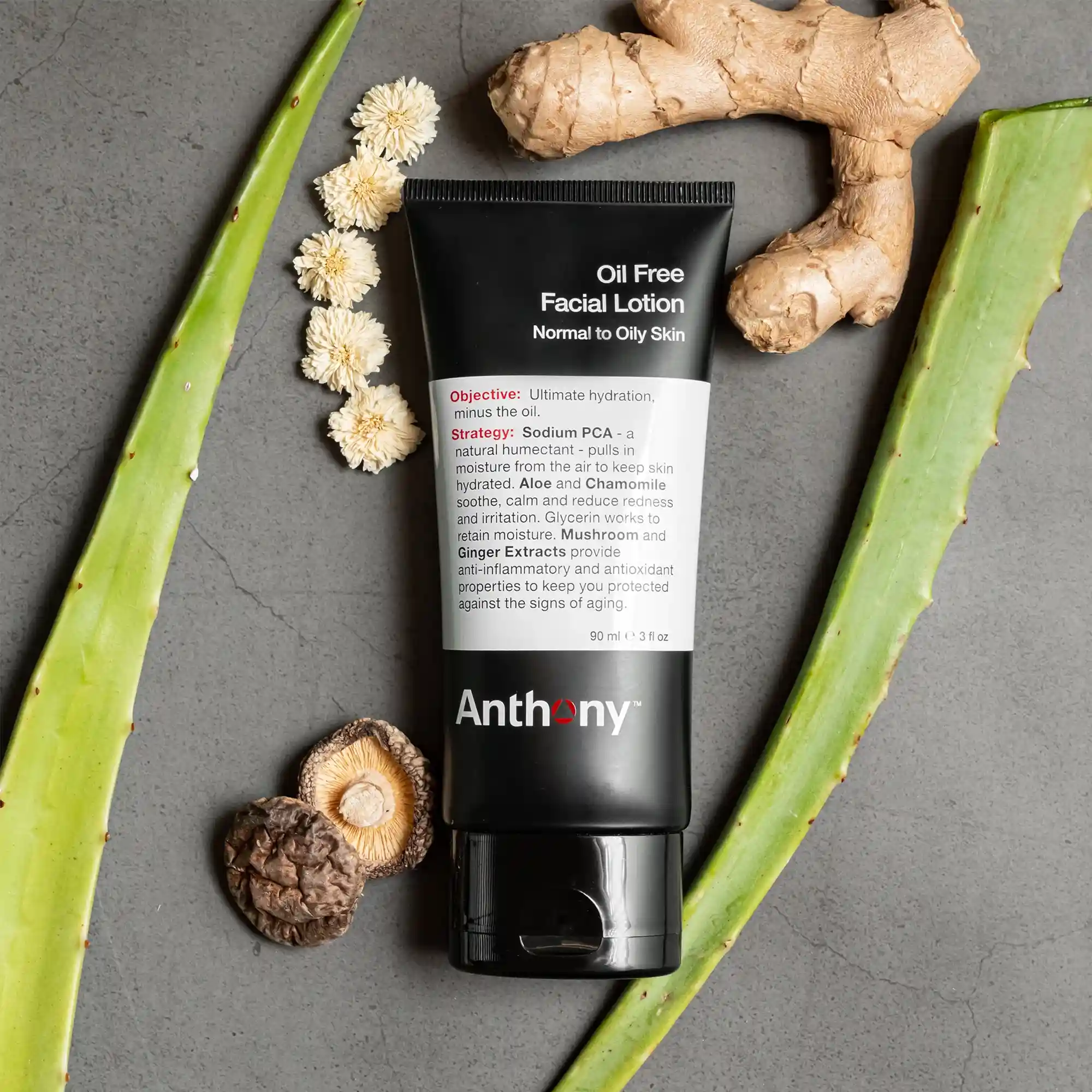 Oil Control Men Oil Control Duo - Anthony Skincare For Men